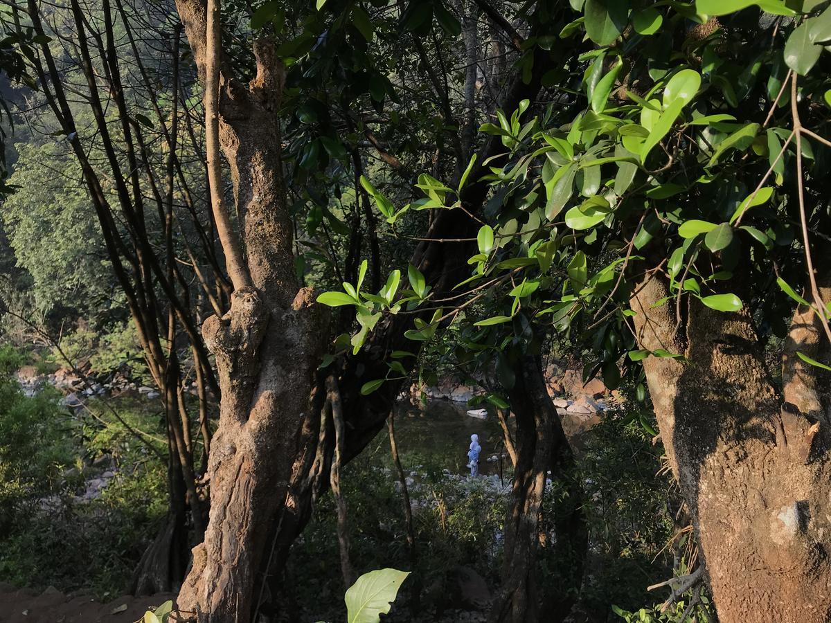 Jungle Valley Agriculture Resort Mahābaleshwar Exterior foto