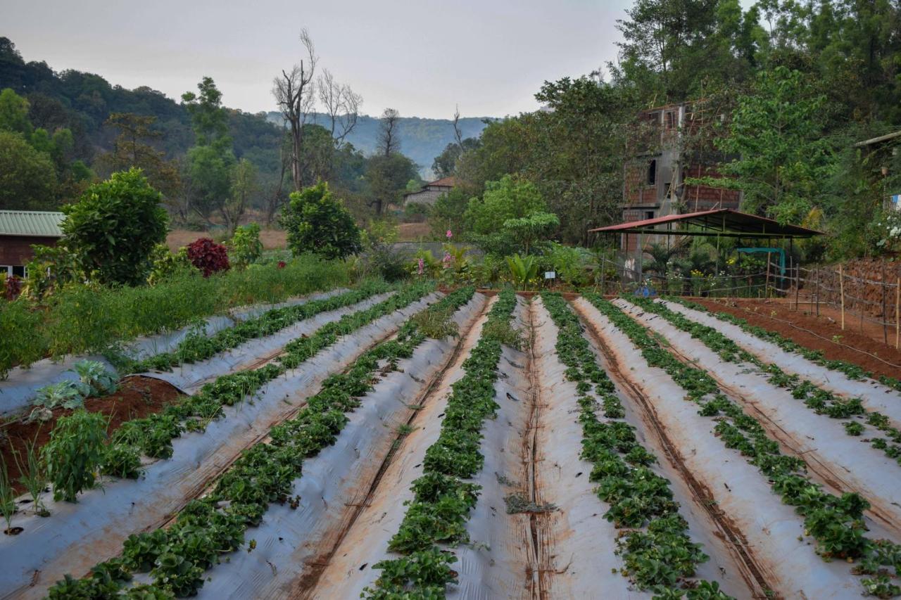 Jungle Valley Agriculture Resort Mahābaleshwar Exterior foto