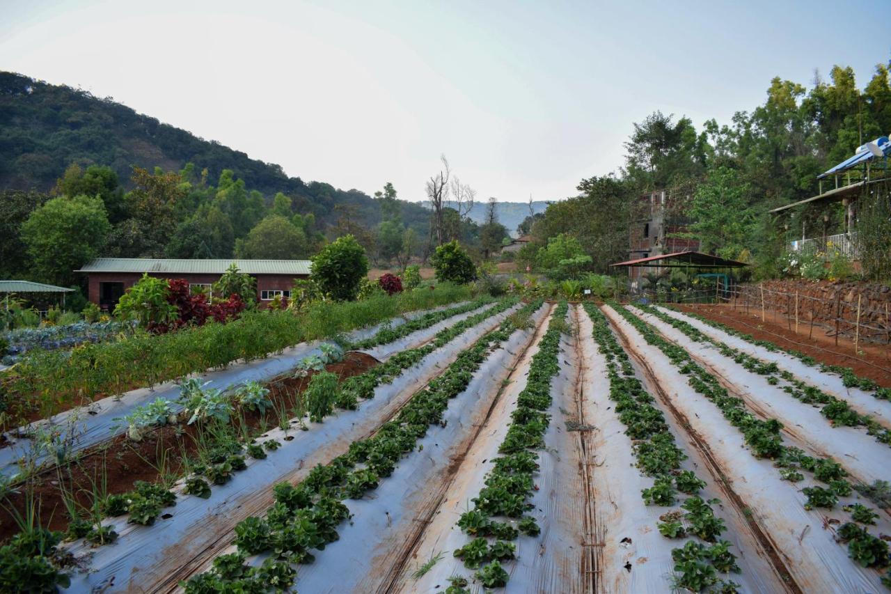 Jungle Valley Agriculture Resort Mahābaleshwar Exterior foto