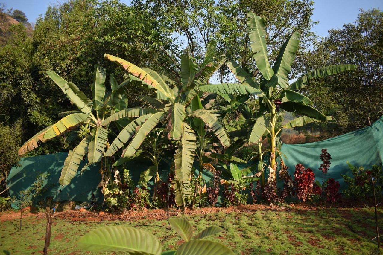 Jungle Valley Agriculture Resort Mahābaleshwar Exterior foto